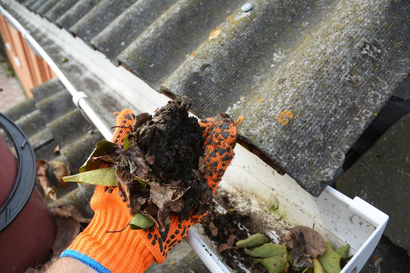Gutter Leaves Removal in Long Island, NY