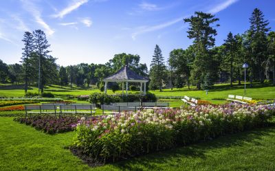 Products For Gazebo Cleanings in use