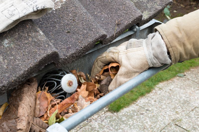 Rain Gutter Clearing in Baltimore, MD