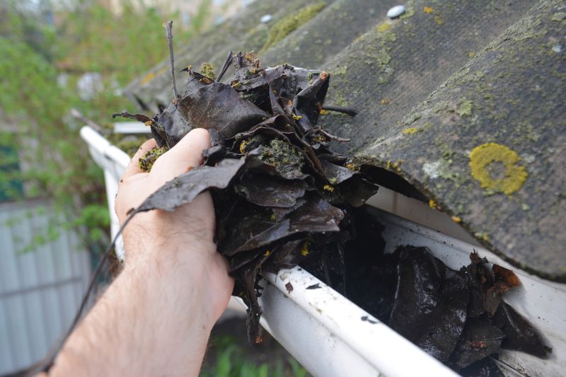 Roof Gutter Cleaning in Long Island, NY