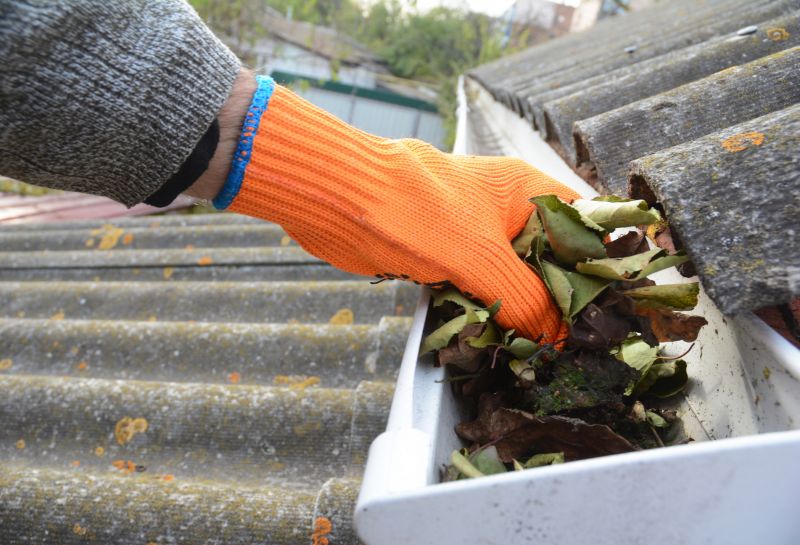 Roof Gutter Cleaning in Morris County, NJ